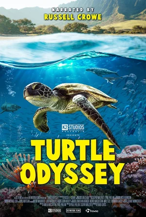 Turtle Odyssey, conducted for Michael Lira